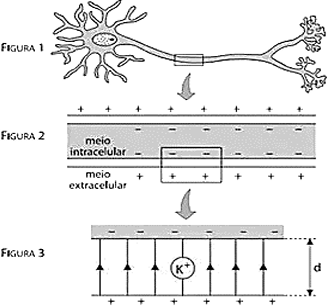 0_fe396cb61a1b59b17564326ea9c17722_14670462.jpg.png