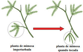 0_fea3241882f0c0ebd90f18baf405945f_14029415.jpg.png