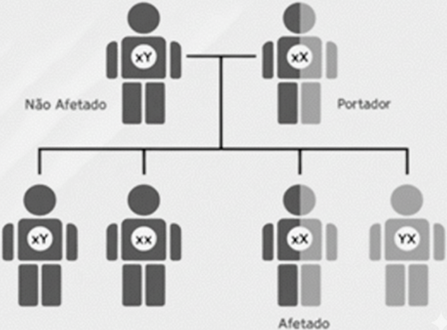 0_ff8a5ceb83915a1e010fff47bd11a1cc_15037153.jpg.png