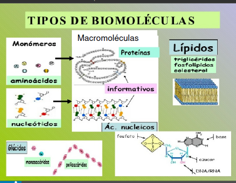 1_623d7724dc364cf2633aa3c4b8d4567f_6b9cacb55619ad4bd530edf2a77169e3.png