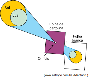 7373439_6845a0cc29558b113b0526baf19a249e_7258098.jpg.png