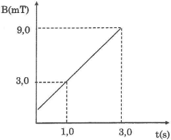 7545285_365e96b515584e5c77aee1d2cbe722e9_5704346.jpg.png