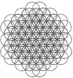 7545285_d429796e4e1ff2e8209768645a469518_5703527.jpg.png
